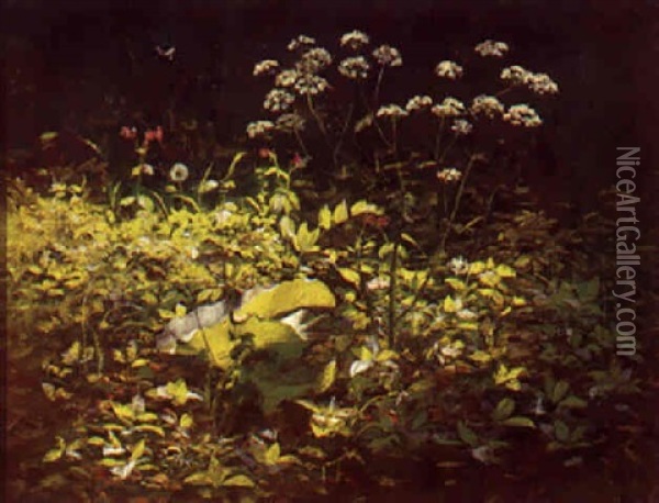 Vilde Blomster Oil Painting - Hans Ole Brasen