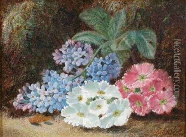 Lilac And Primula Oil Painting - Oliver Clare