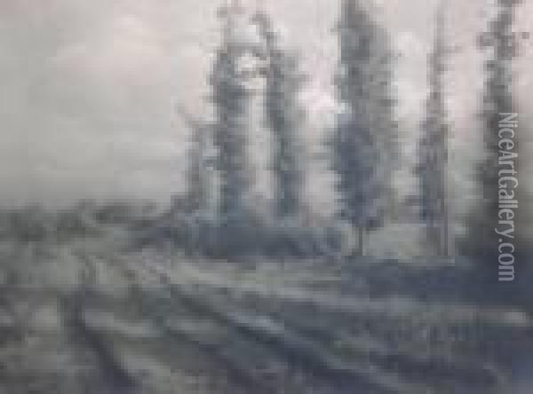 Berken In Een Kempisch Landschap Oil Painting - Leonard Misonne