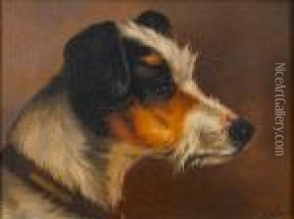 Head Of A Terrier Oil Painting - John Arnold Wheeler