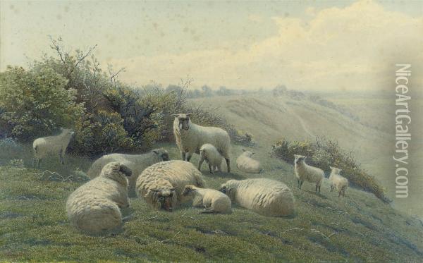 Sheep On A Hillside Oil Painting - Henry Birtles