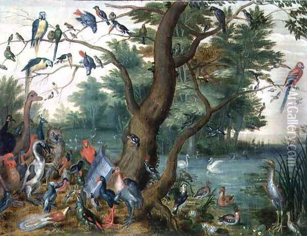 Concert of Birds 3 Oil Painting - Jan van Kessel