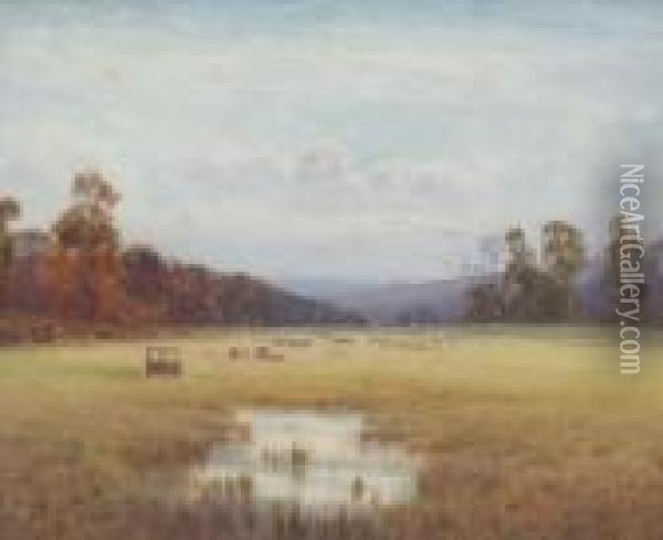 Sunlight Field Oil Painting - Helen O'Hara
