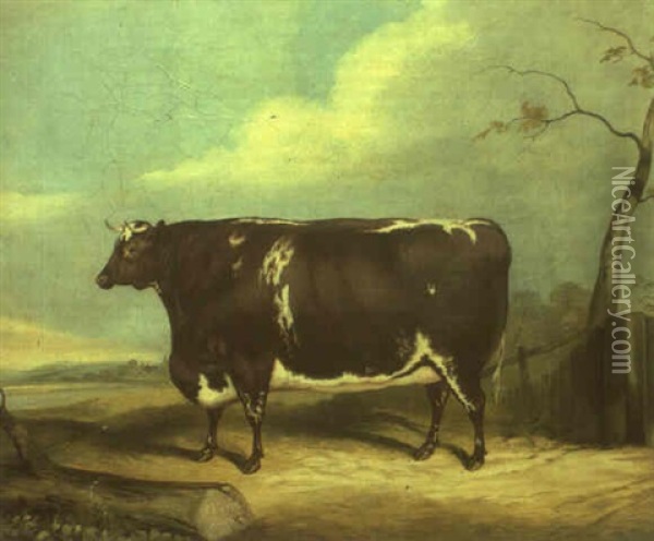 A Brown And White Prize Bull In A Landscape Oil Painting - John Vine