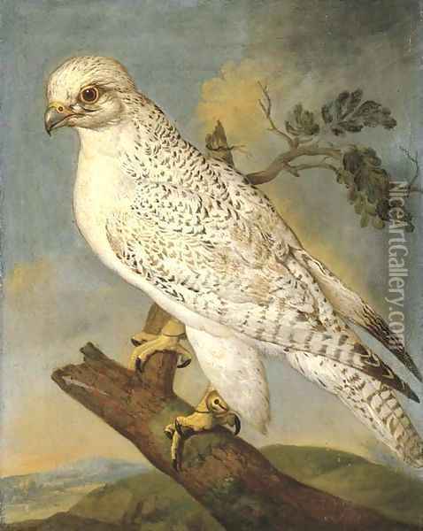 A falcon on a branch Oil Painting - Ferdinand Phillip de Hamilton