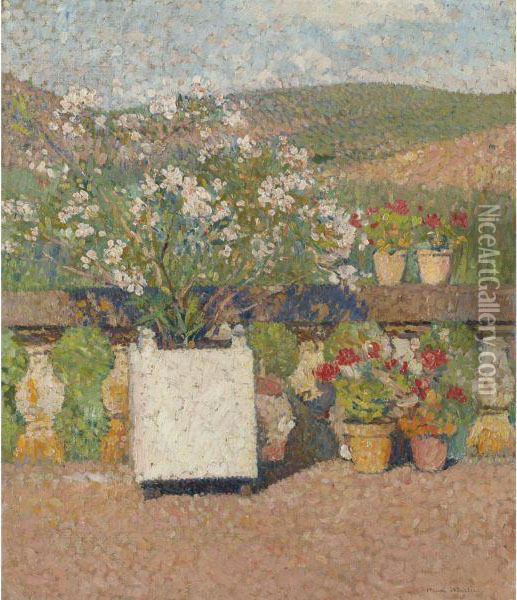 Bac De Lauriers-roses Et Pots De Geraniums Sur La Terrasse De Marquayrol En Ete Oil Painting - Henri Martin