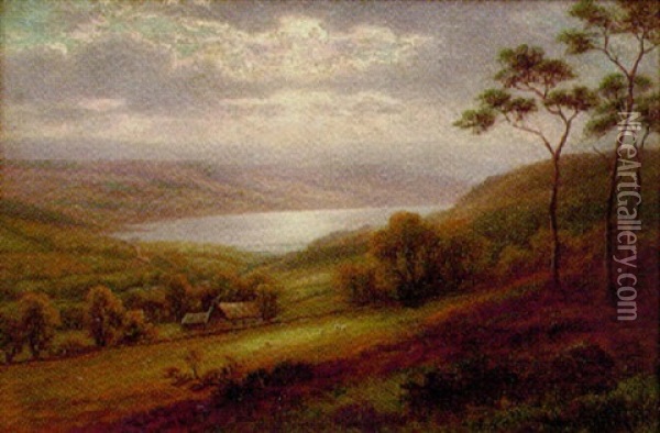Nidderdale, Nt. Pataley Bridge, Yorkshire, Bradford, Reservoir In The Distance Oil Painting - William Mellor