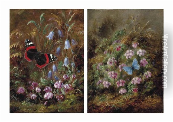 A Red Admiral Butterfly Among Hairbells; And A Silver Studded Blue Butterfly Amongst Heather Oil Painting - Albert Durer Lucas