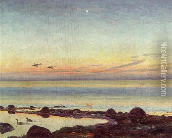 Flyvende Aender Over Havet Ved Solnedgangstide Oil Painting - William Gislander