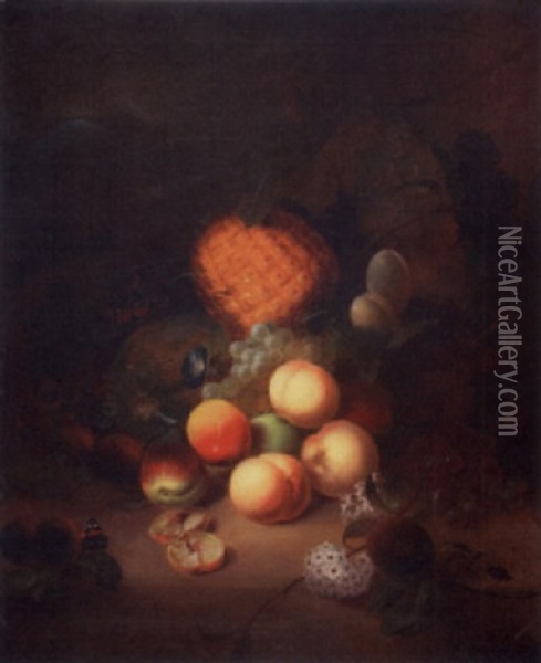 Still Life With Fruit And Insects Oil Painting - Joseph Rhodes