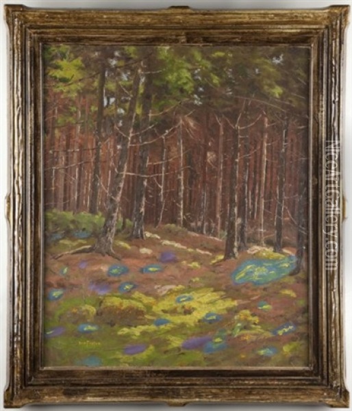 Forest Interior Oil Painting - Ben Foster