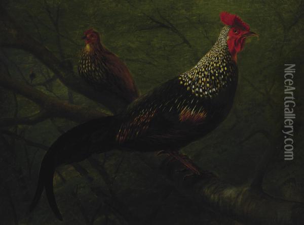 Pheasants Oil Painting - William Jacob Hays