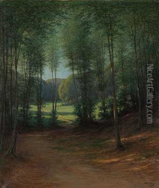 Blick Auf Sommerliche Waldlichtung Oil Painting - Johann Georg Mohr