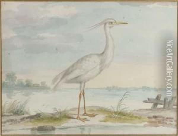 A White Heron Oil Painting - Pieter the Younger Holsteyn
