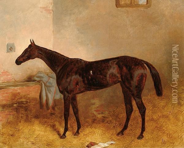 A Bay Mare In A Stable. Oil Painting - Harry Hall