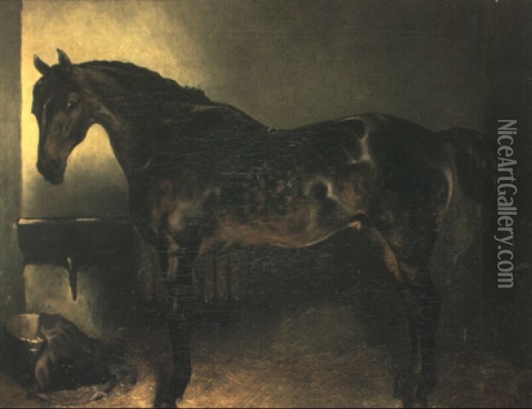 A Dark Bay Hunter In A Stable Oil Painting - John Charlton