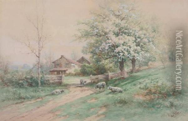 Cottage With Sheep Oil Painting - Carl Weber