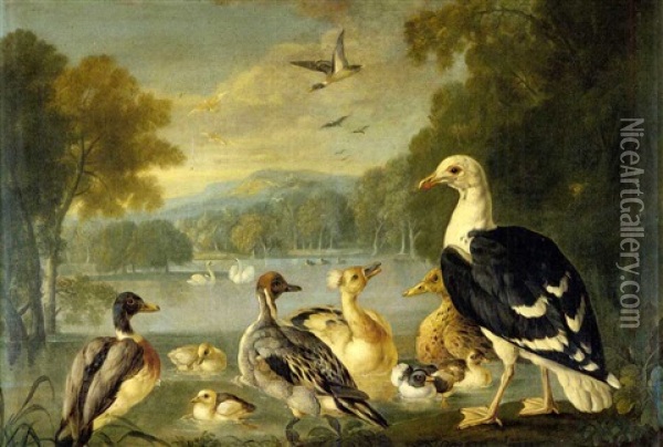 Poultry And Doves In A Wooded Landscape Oil Painting - Pieter Casteels III