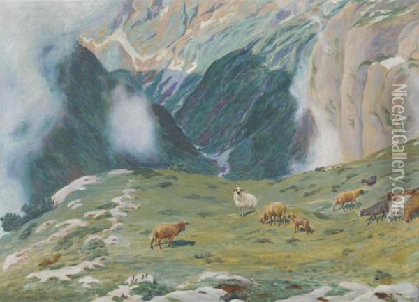 Alpenpartie Mit Schafherde Oil Painting - Hans Widmer