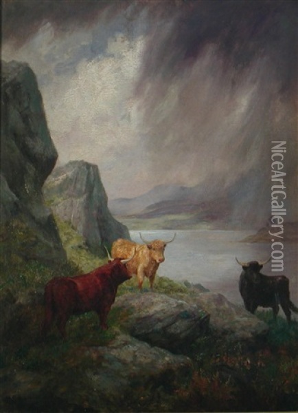 Highland Cattle Oil Painting - Harry Dixon