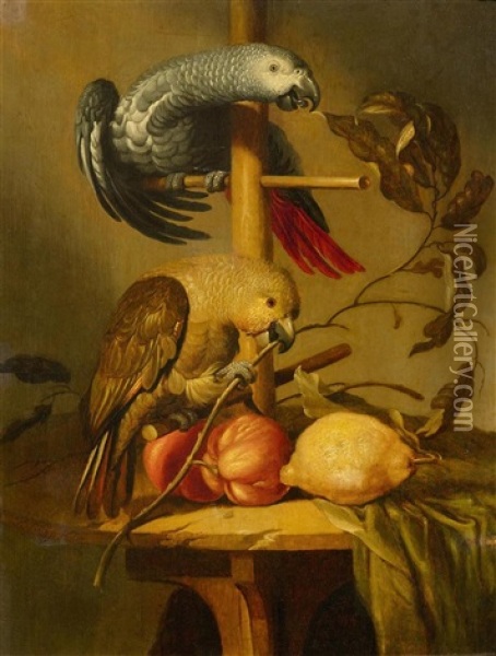 A Still Life With Parrots And Fruit Oil Painting - Jacob Frans van der Merck