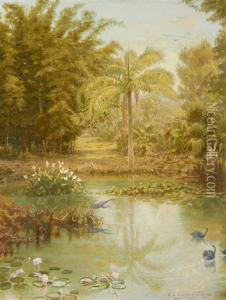 Black Swans In A Tropical Lake, Australia Oil Painting - Charles Gordon-Frazer