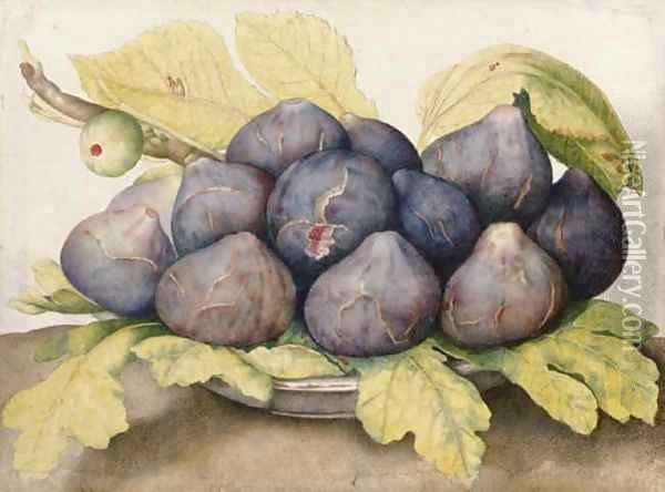 A plate of figs Oil Painting - Giovanna Garzoni