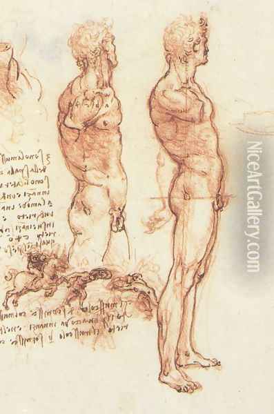 studyof_man Oil Painting - Leonardo Da Vinci