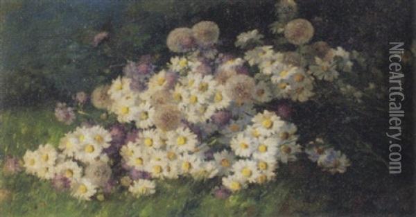 Blumenstrauss Mit Margriten Und Skabiosen Auf Wiese Oil Painting - Anna Haller