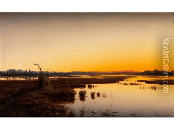Weite Moorseelandschaft Im Abendlicht Oil Painting - Adalbert Wex