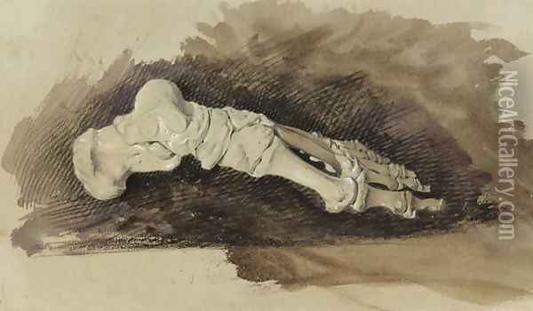 The Bones of a Female Humans Foot Oil Painting - John Ruskin