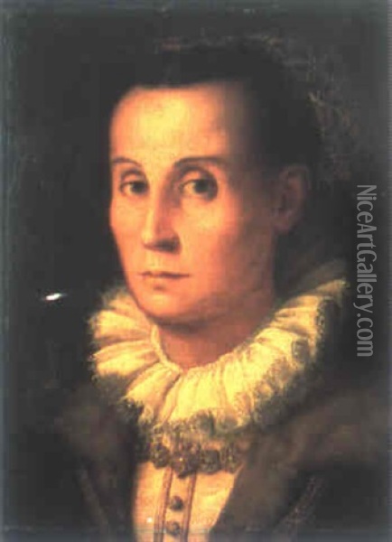 Portrat Einer Jungen Florentiner Dame Oil Painting -  Bronzino