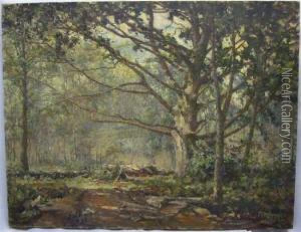 Forestlandscape. Oil Painting - David Birdsey Walkley