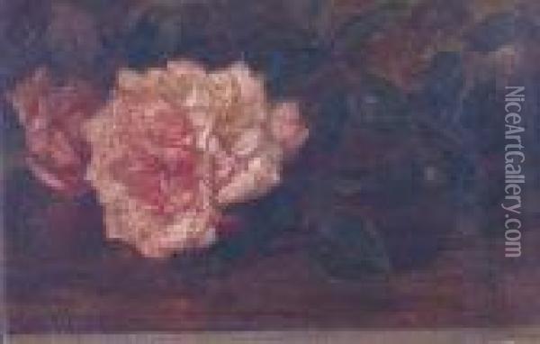 A Study Of A Rose Oil Painting - Edith White