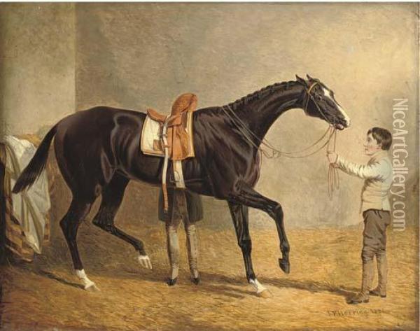 Queen Of Trumps In A Stable, With Two Grooms Oil Painting - John Frederick Herring Snr