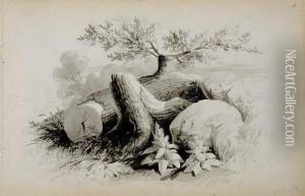 Trees And Rocks Oil Painting - William Henry Worthington