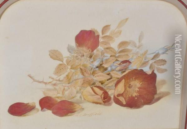 Still Life Flower Study Oil Painting - Mary Elizabeth Duffield