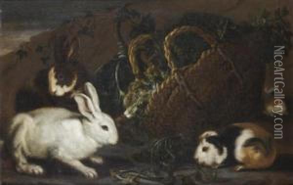 Lapins Et Cochons D'inde Autour D'un Panier D'herbes Oil Painting - Giovanni Agostino Cassana