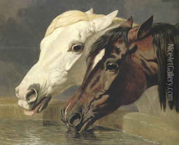 Grey And Dark Bay 1855 Oil Painting - John Frederick Herring Snr