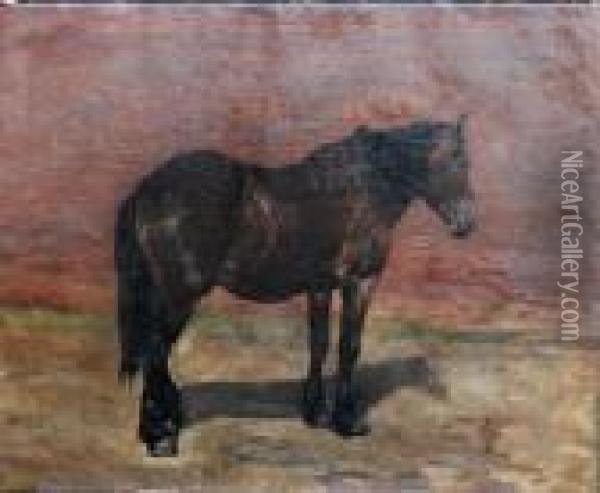 Portrait Of A Horse Oil Painting - Alfred Jacques Verwee
