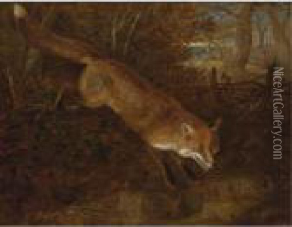 A Fox Breaking Cover Oil Painting - William Webb