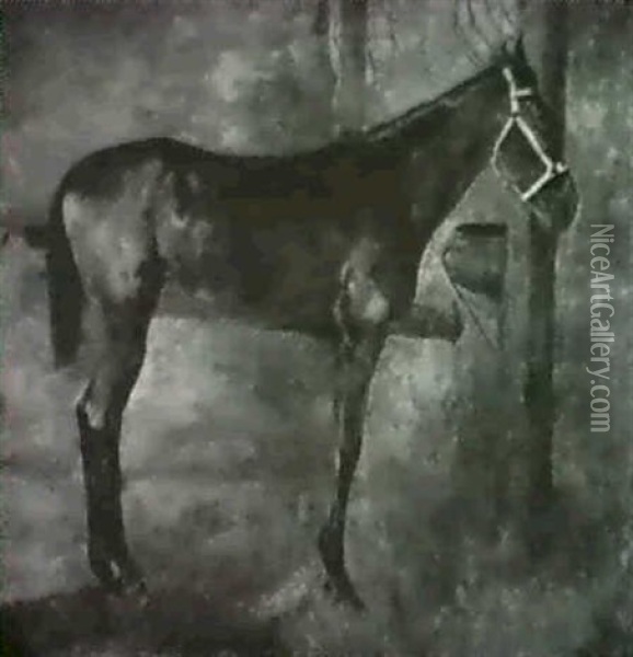 Frankfurt, Pferd Im Stall Oil Painting - Wilhelm Altheim