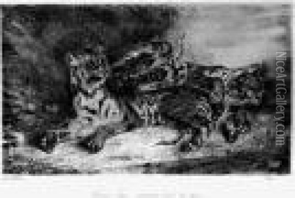Jeune Tigre Jouant Avec Sa Mere Oil Painting - Eugene Delacroix