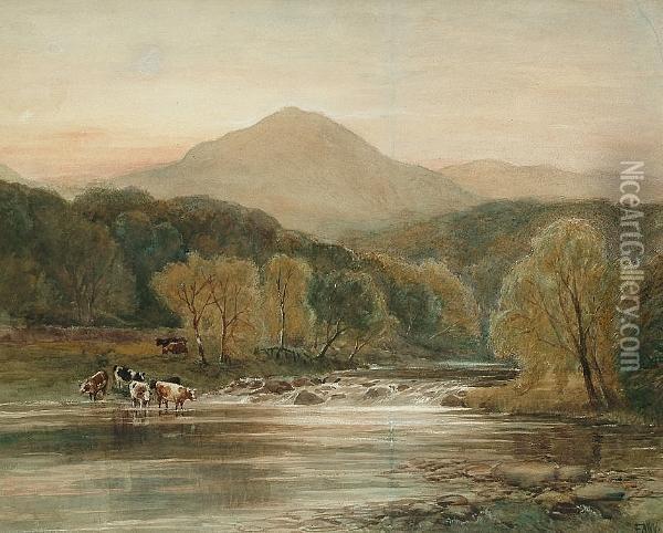 Cattle Crossing A Stream Oil Painting - Edmund Morison Wimperis