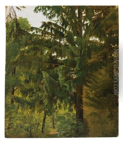 Baum (study) Oil Painting - Christian Friedrich Gille