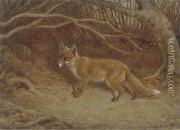 The Wily Fox Oil Painting - Frank Paton