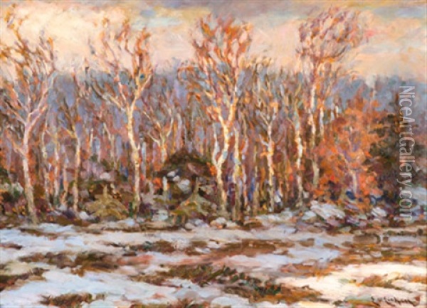 Winter Auf Dem Dars Oil Painting - Elisabeth Von Eicken