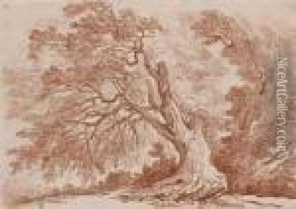 Etude D'arbre Oil Painting - Christian Wilhelm Ernst Dietrich