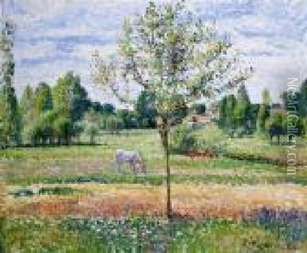 The Meadow With The Grey Horse, Eragny Oil Painting - Camille Pissarro