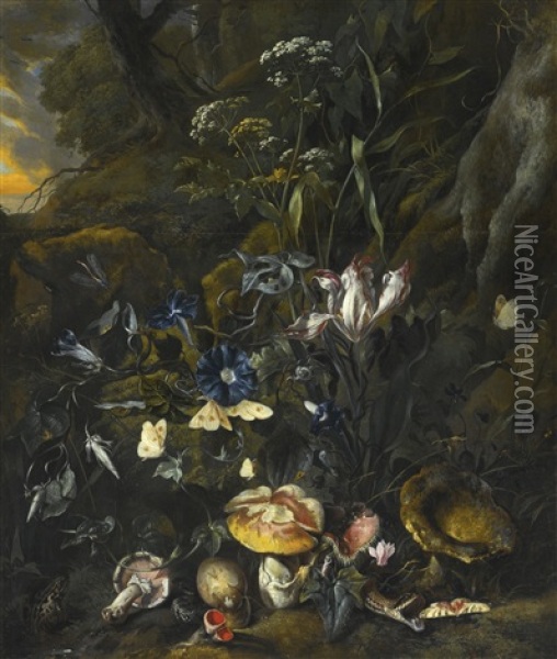 Forest Floor Still Life With Flowers, Mushrooms, Butterflies, A Snake, A Frog, And A Dragonfly Oil Painting - Otto Marseus van Schrieck